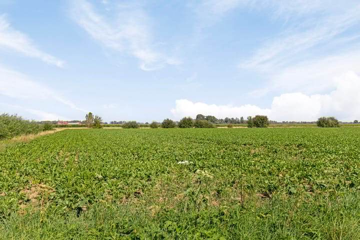 Foto 46 van Reusensestraat 30