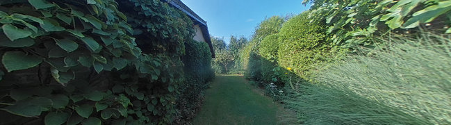 Bekijk 360° foto van achtertuin van Zuiderpark 13-R