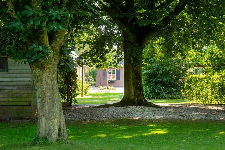 Bekijk foto 46 van Steenheuvelsestraat 51