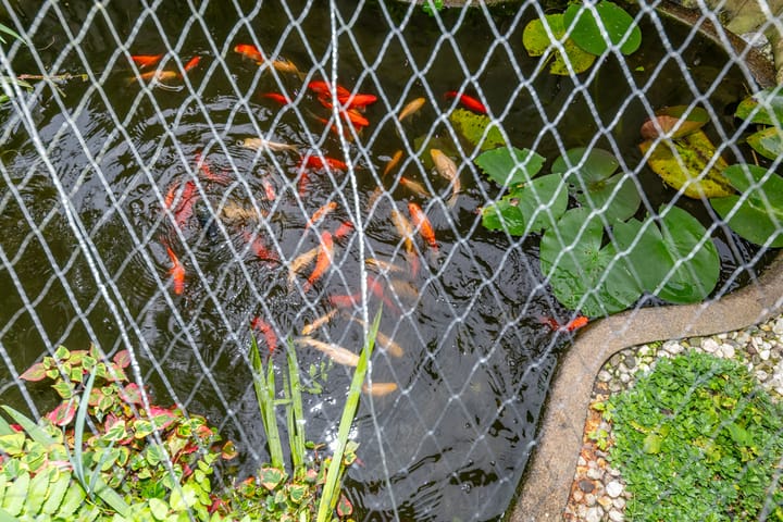 Foto 18 van Terborgseweg 9