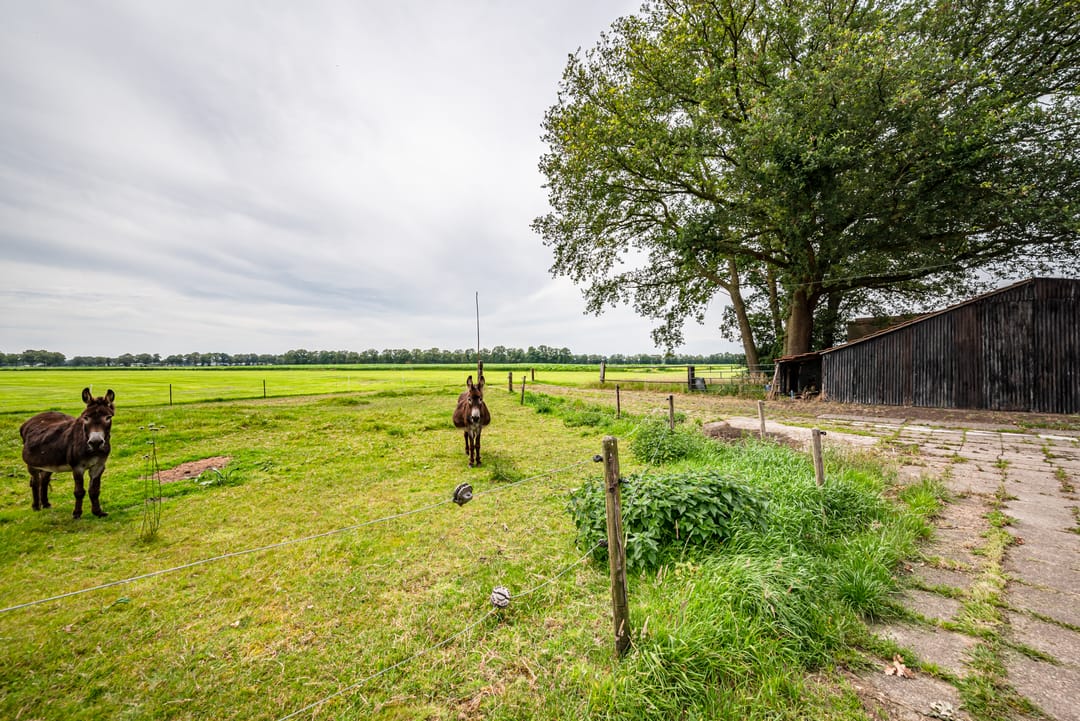 Foto 8 van Lankhorsterweg 11