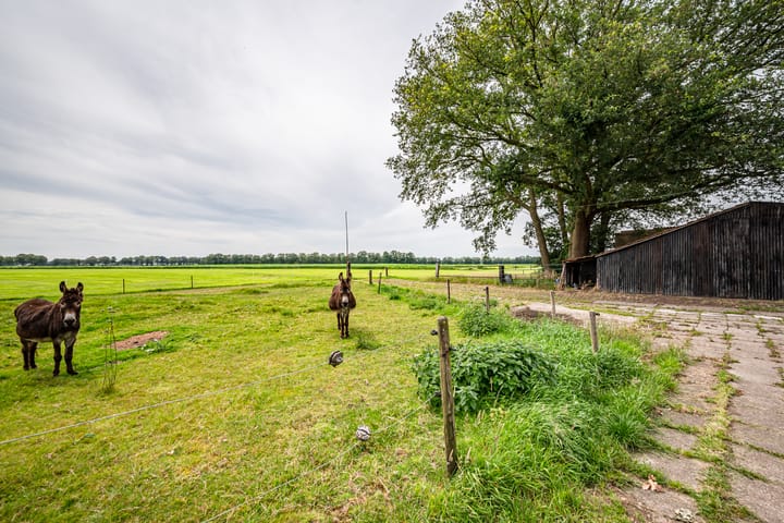 Photo 8 of Lankhorsterweg 11