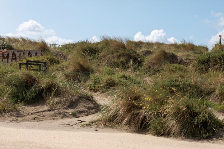 View photo 60 of Breesaapstraat (Bouwnr. 4)