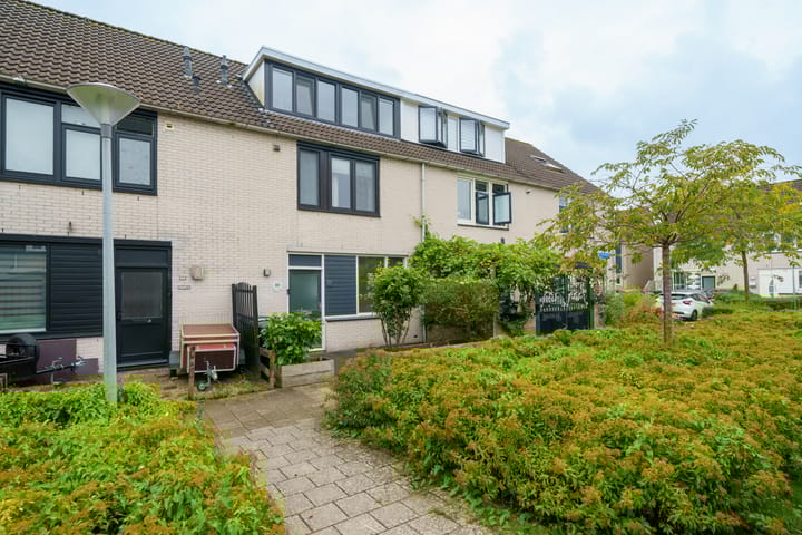 Foto 50 van L.C. van der Vlugtstraat 40