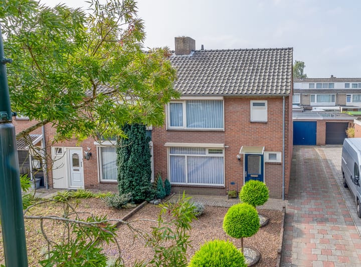 undefined main image