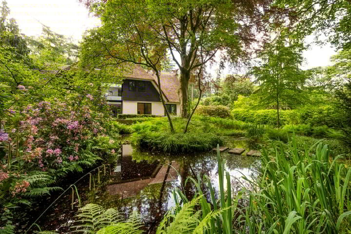 Foto 58 van Raboes 14