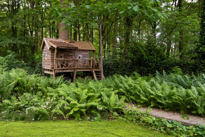 Foto 60 van Raboes 14