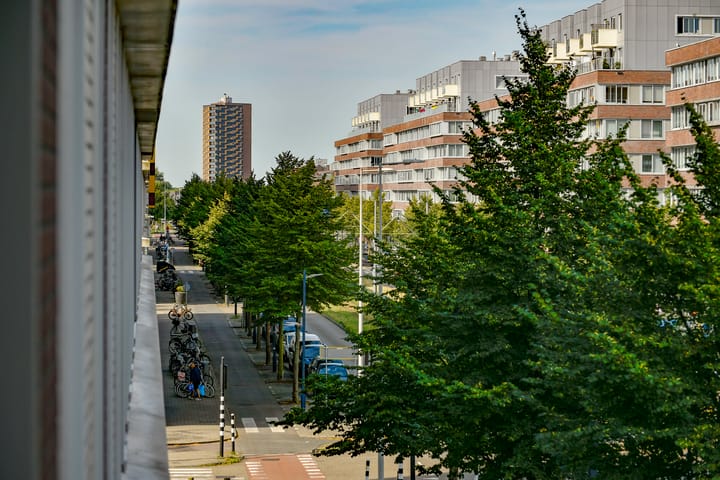 Foto 16 van Pieter Calandlaan 727