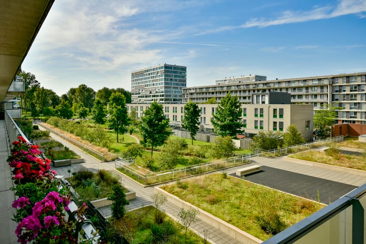 Foto 23 van Pieter Calandlaan 727