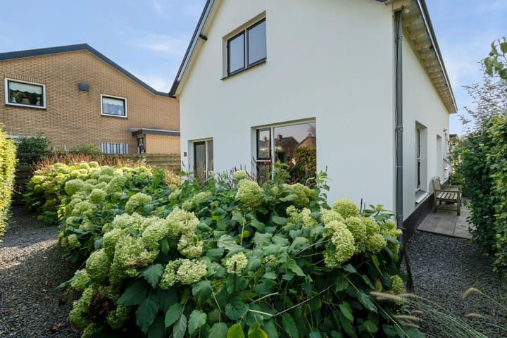 Foto 5 van Zuiderzeestraatweg Oost 59