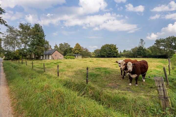 Bekijk foto 57 van Boshoekerweg 1