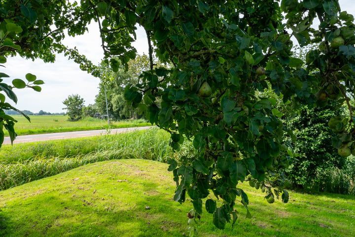 Bekijk foto 97 van Middenweg 37