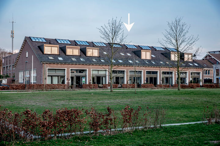 Bekijk foto 3 van Drafveld 11