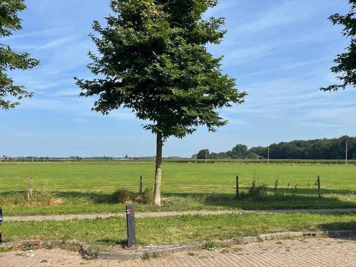 Foto 12 van Otselaan 14