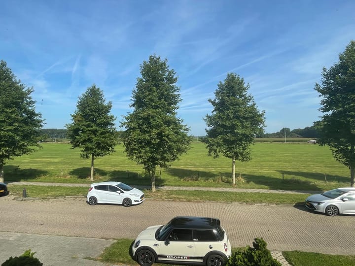 Foto 18 van Otselaan 14