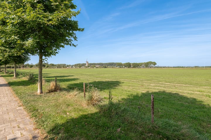 Foto 31 van Otselaan 14