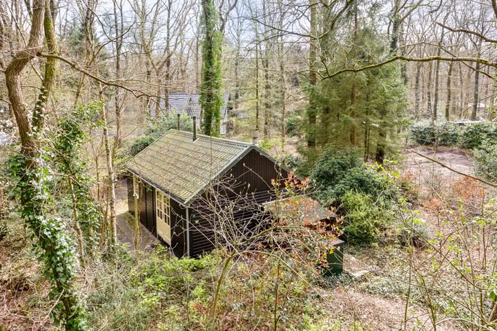 Foto 2 van Langeloërduinen 4 92