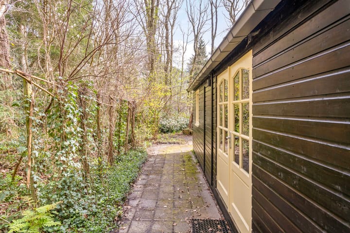 Foto 4 van Langeloërduinen 4 92