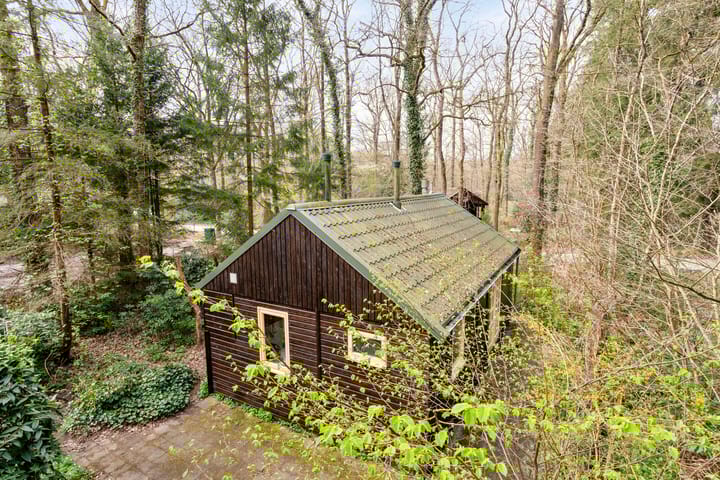 Foto 3 van Langeloërduinen 4 92