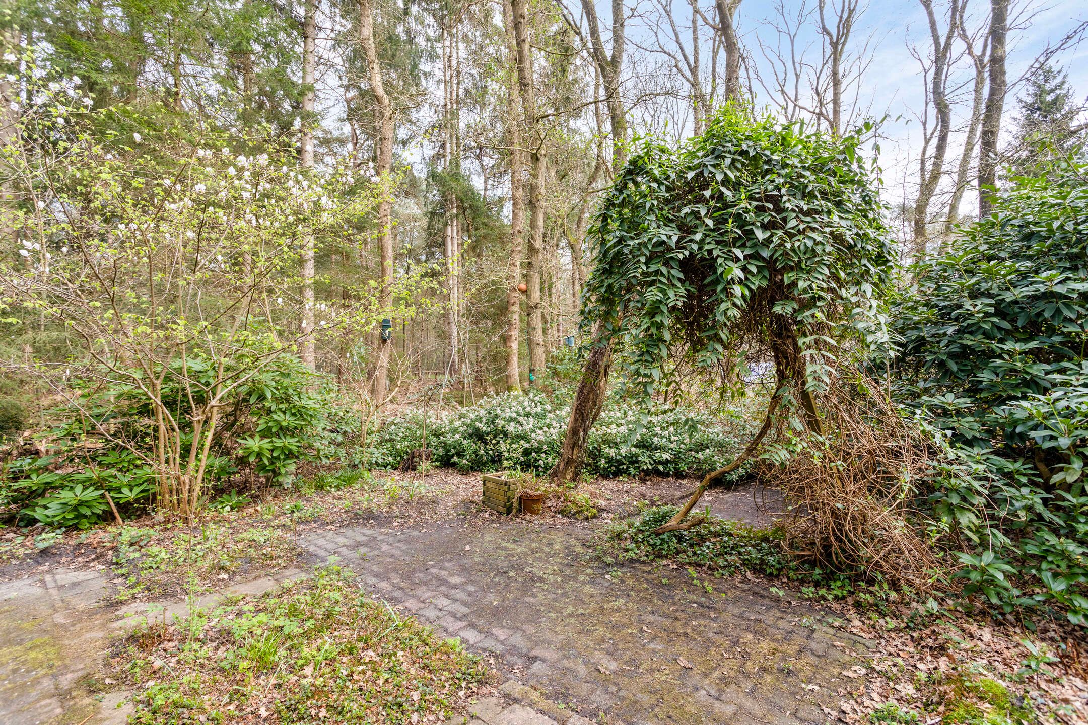 Photo 21 of Langeloërduinen 4 92
