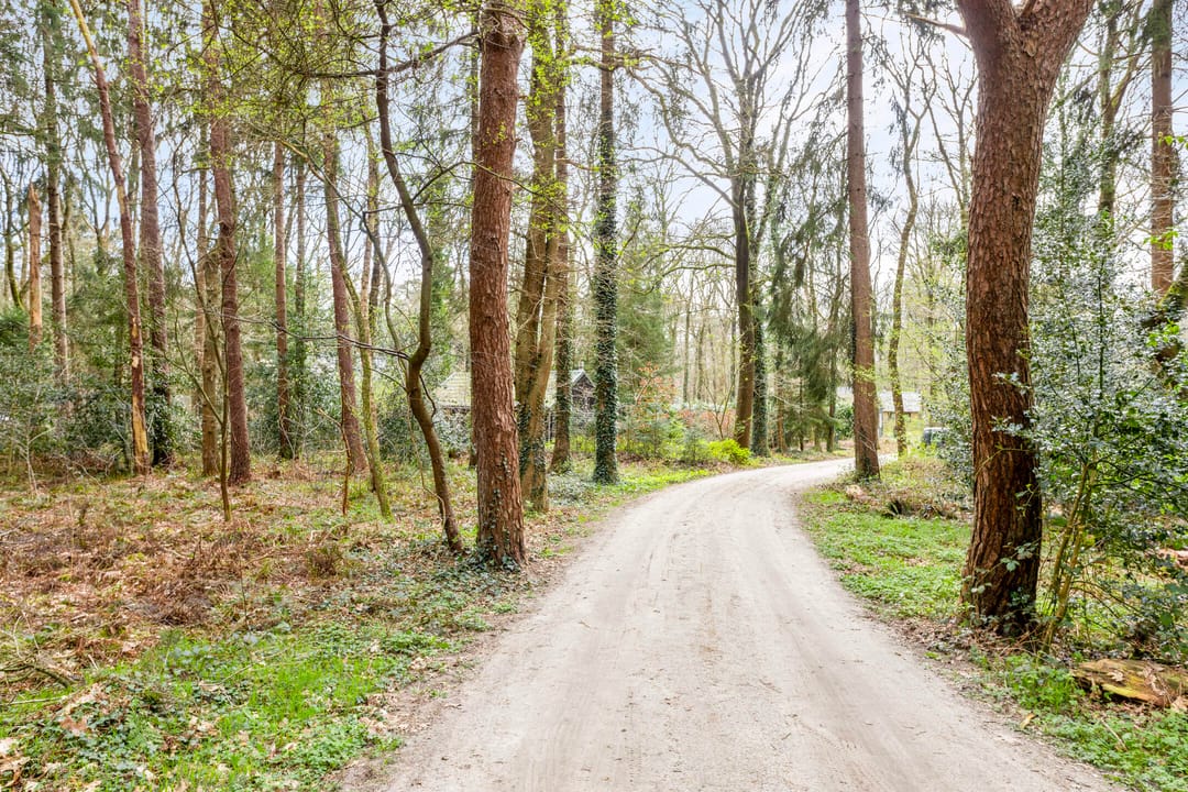Photo 23 of Langeloërduinen 4 92