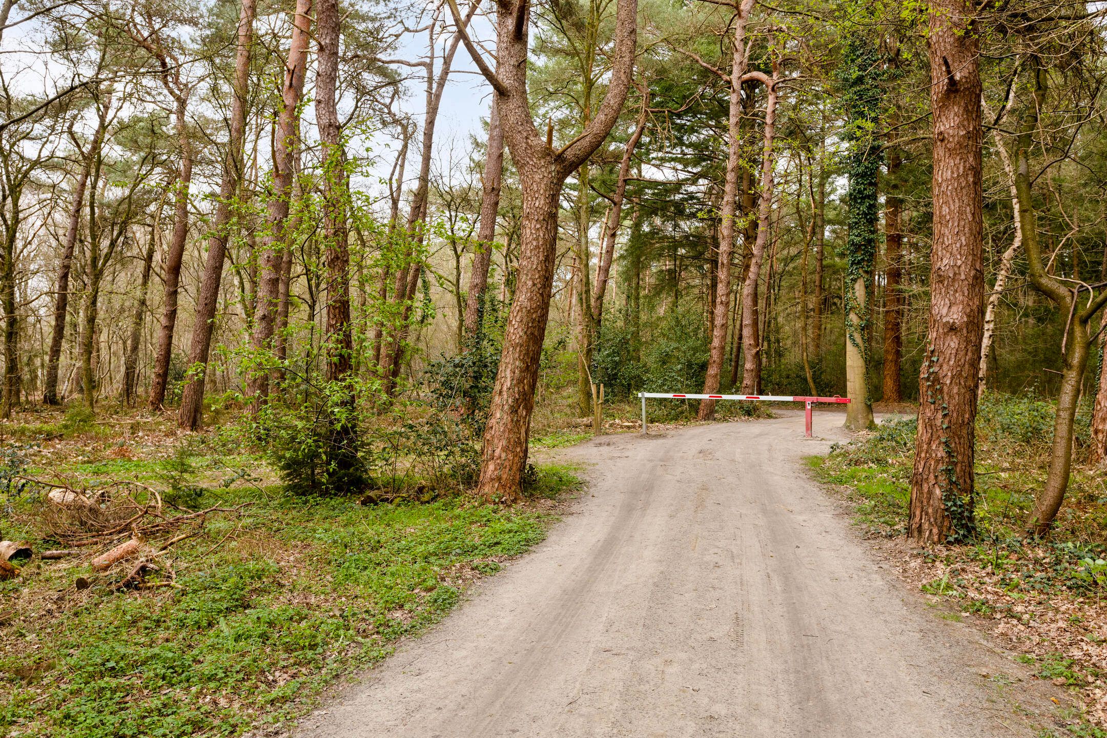 Photo 24 of Langeloërduinen 4 92