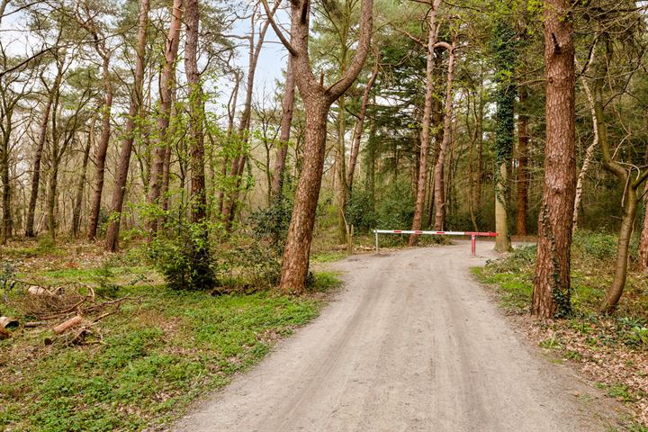 Bekijk foto 24 van Langeloërduinen 4 92