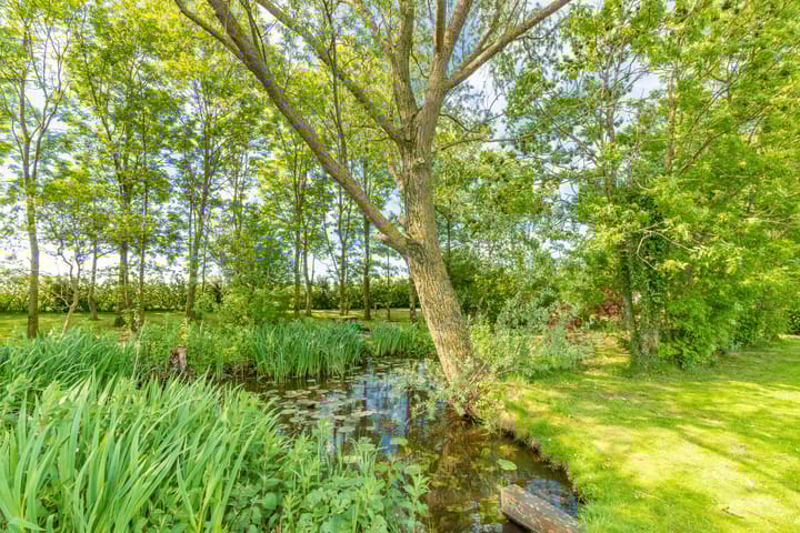 Foto 5 van Vriezekoop 9-A