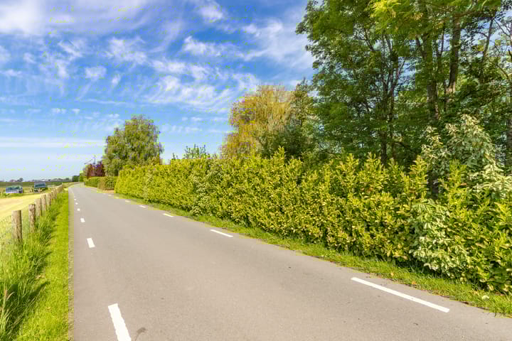 Foto 8 van Vriezekoop 9-A