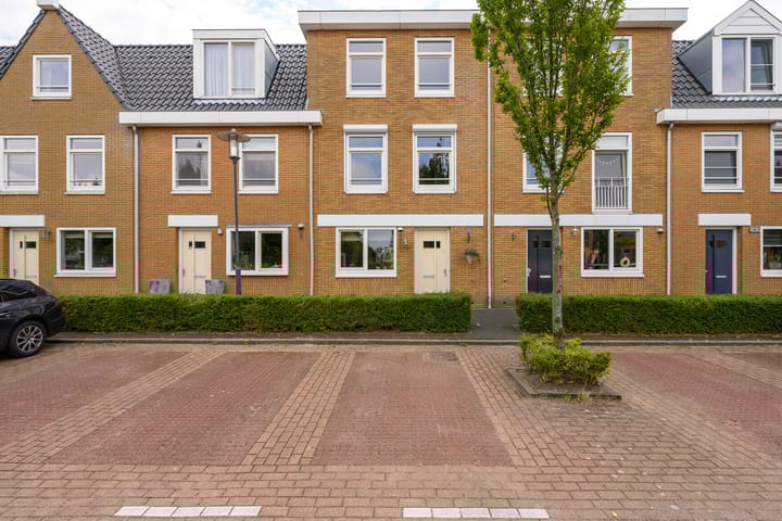 undefined main image