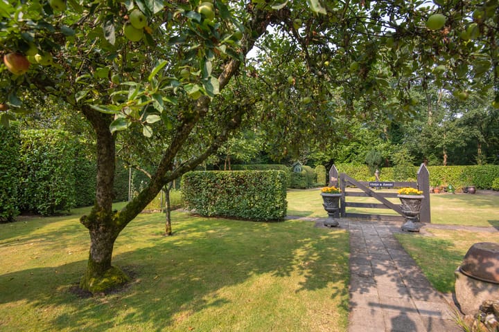 Foto 22 van Beukenlaan 3