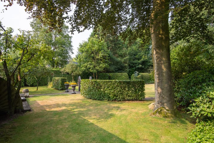 Foto 24 van Beukenlaan 3