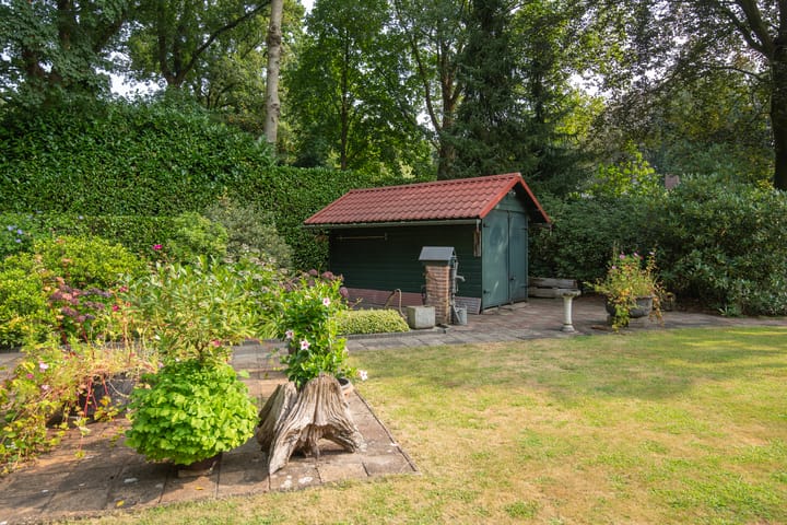 Foto 25 van Beukenlaan 3