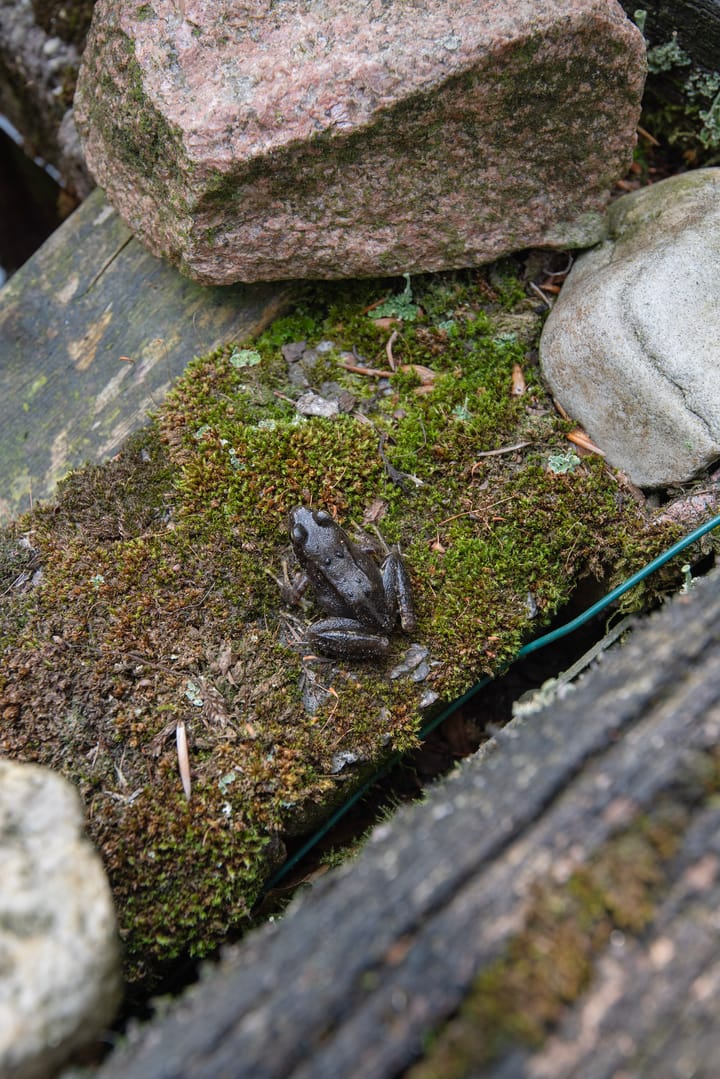 Foto 27 van Beukenlaan 3