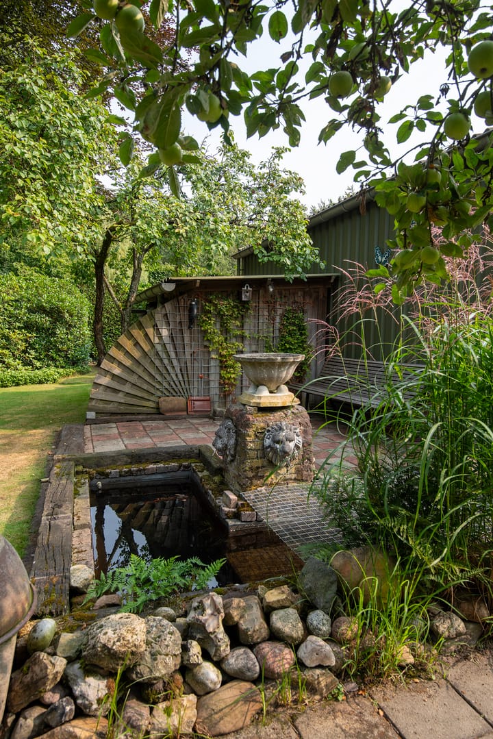 Foto 28 van Beukenlaan 3