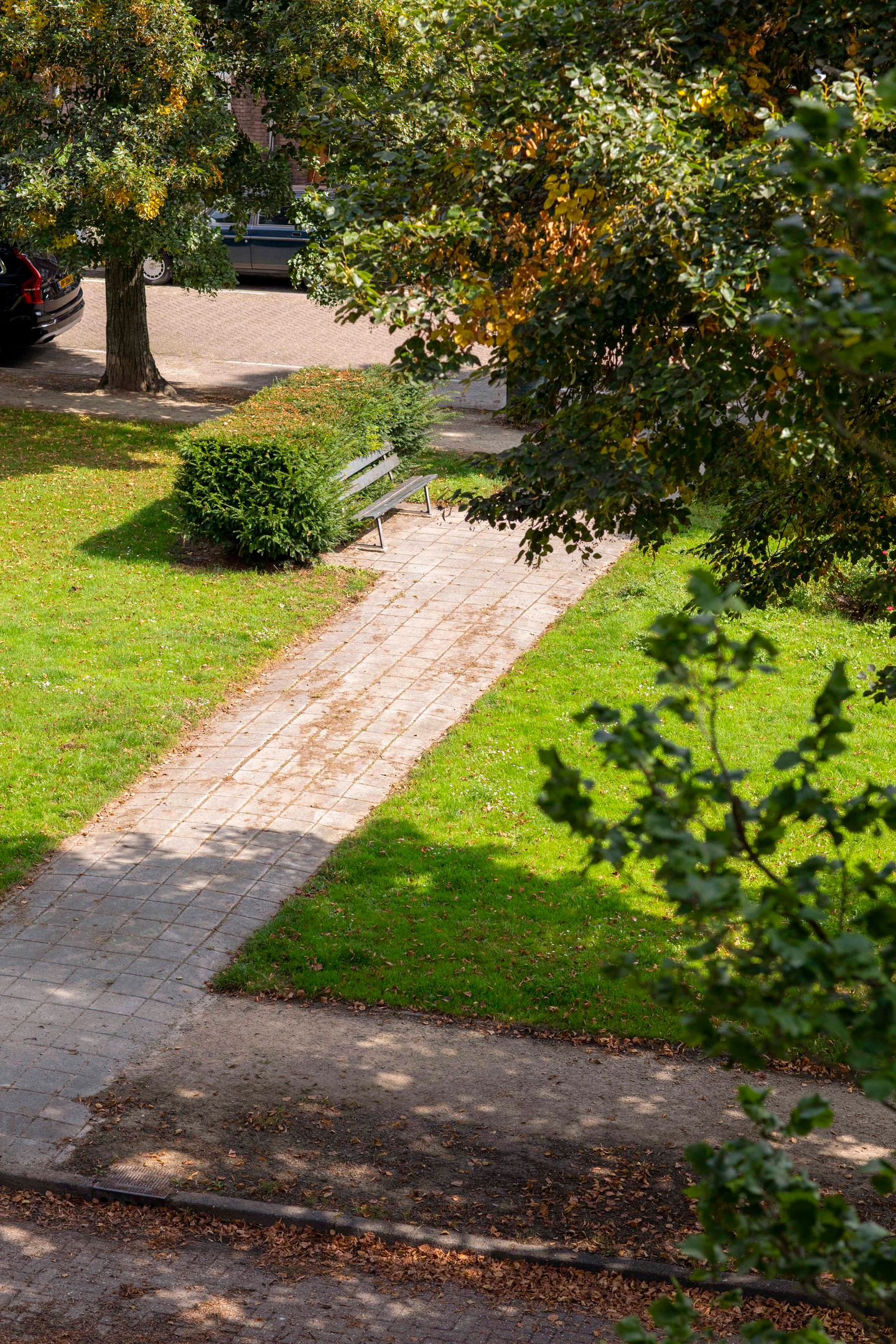 Foto 5 van Minervalaan 40-2