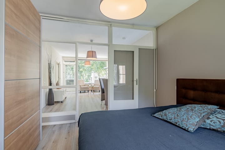 Foto 20 van Julianaplantsoen 297