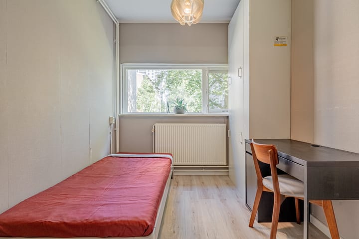 Foto 21 van Julianaplantsoen 297