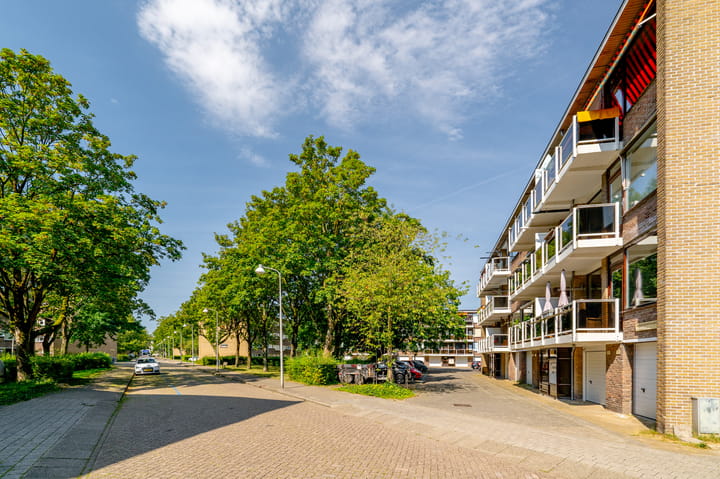 Foto 36 van Julianaplantsoen 297