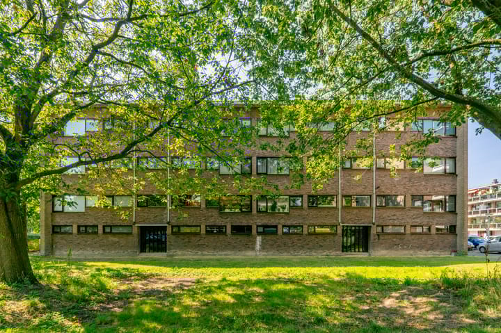 Foto 38 van Julianaplantsoen 297