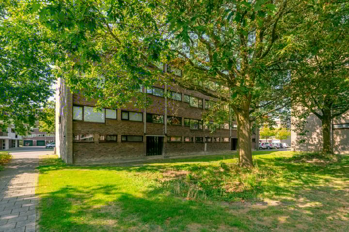 Foto 39 van Julianaplantsoen 297