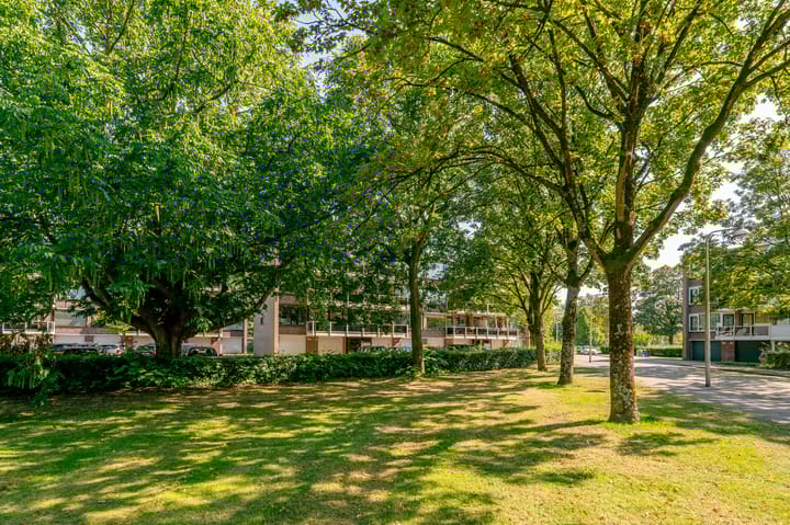 Foto 40 van Julianaplantsoen 297