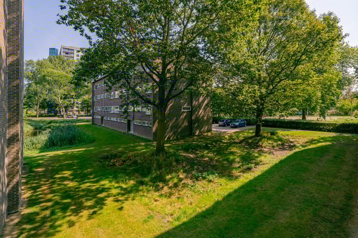 Foto 44 van Julianaplantsoen 297