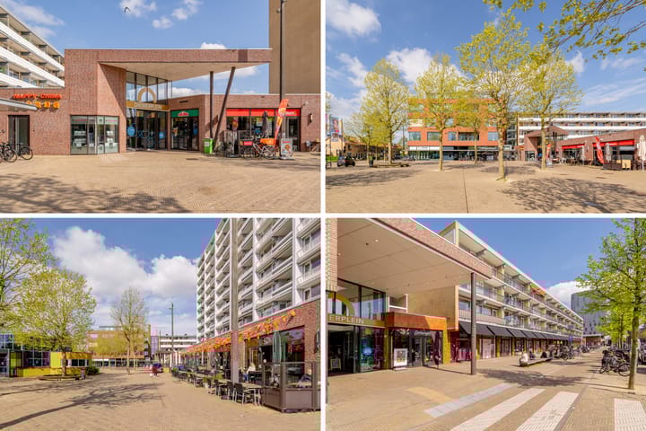 Foto 45 van Julianaplantsoen 297