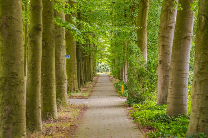 Foto 29 van De Vrijburg 23