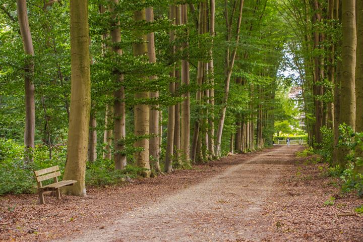 Bekijk foto 30 van De Vrijburg 23