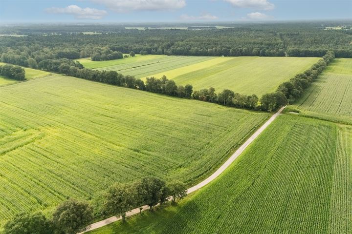 Bekijk foto 50 van Rotkehlchenstrasse 7