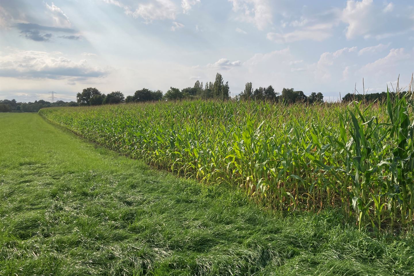 Bekijk foto 4 van Helenaveenseweg