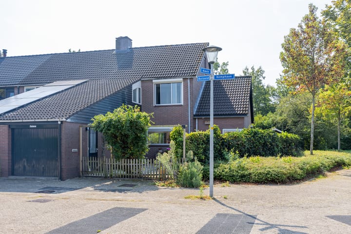 Foto 1 van Buizerd 2