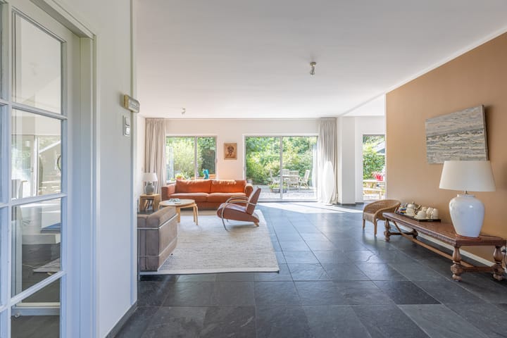 Foto 2 van Buizerd 2